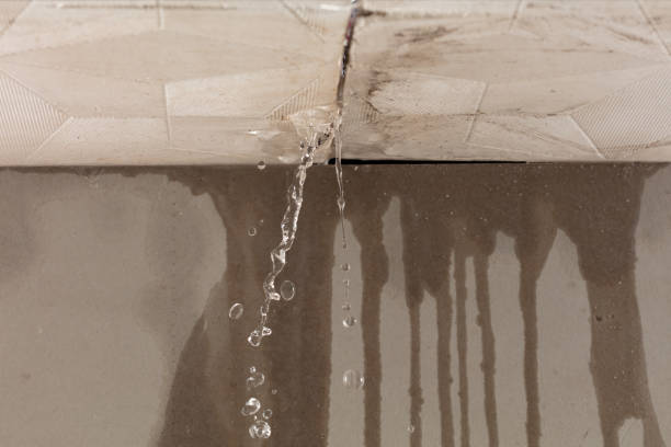 Professional Structural Drying technician working in Abington, PA